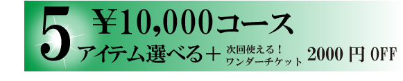 11,000円コース