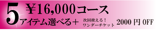 17,600円コース