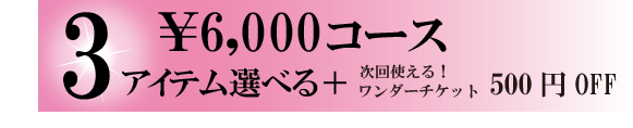 6,600円コース