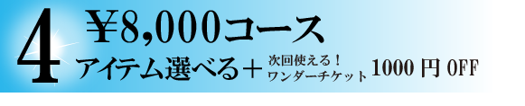 8,800円コース