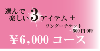 6600円コース