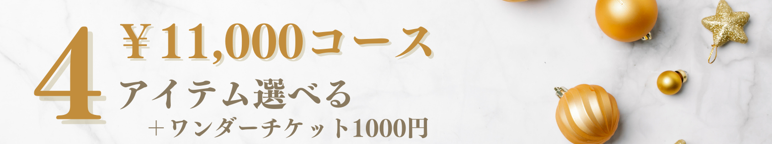 11,000円コース