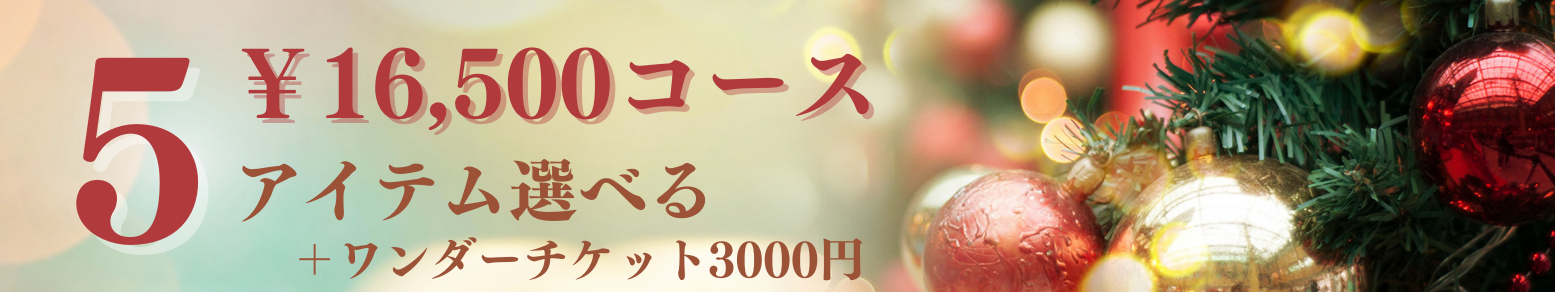 16,500円コース