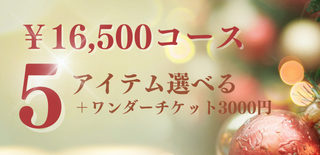16500円コース