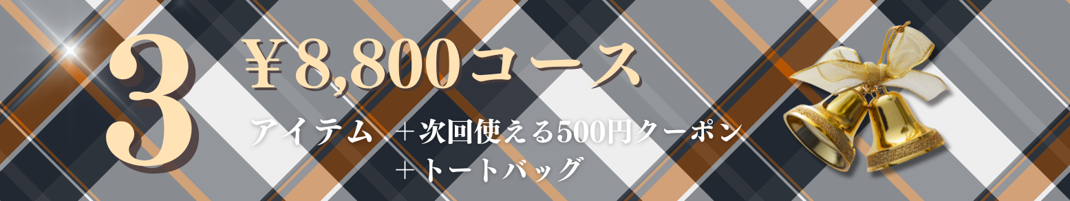8,800円コース