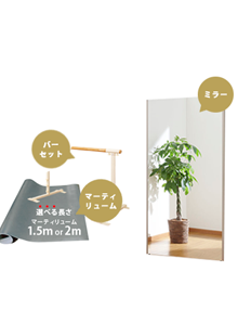 おうちでバレエセット（固定式）