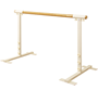 Personal Barre Stands Image